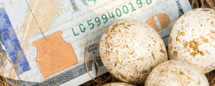 Retirement Nest Egg: Having Enough & Making Sure It Lasts